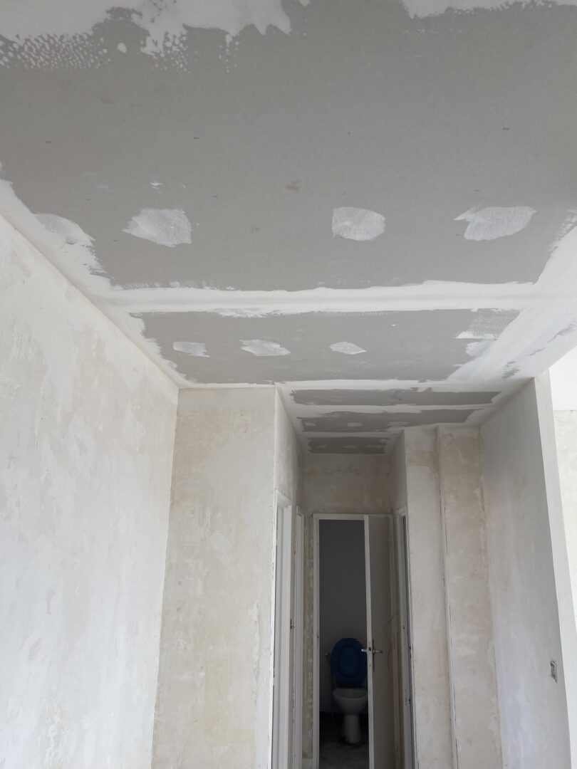 Travaux placo-plâtre à Toulouse (11)