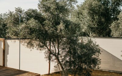 Terrasse en bois autour d’une piscine : bonne idée ?