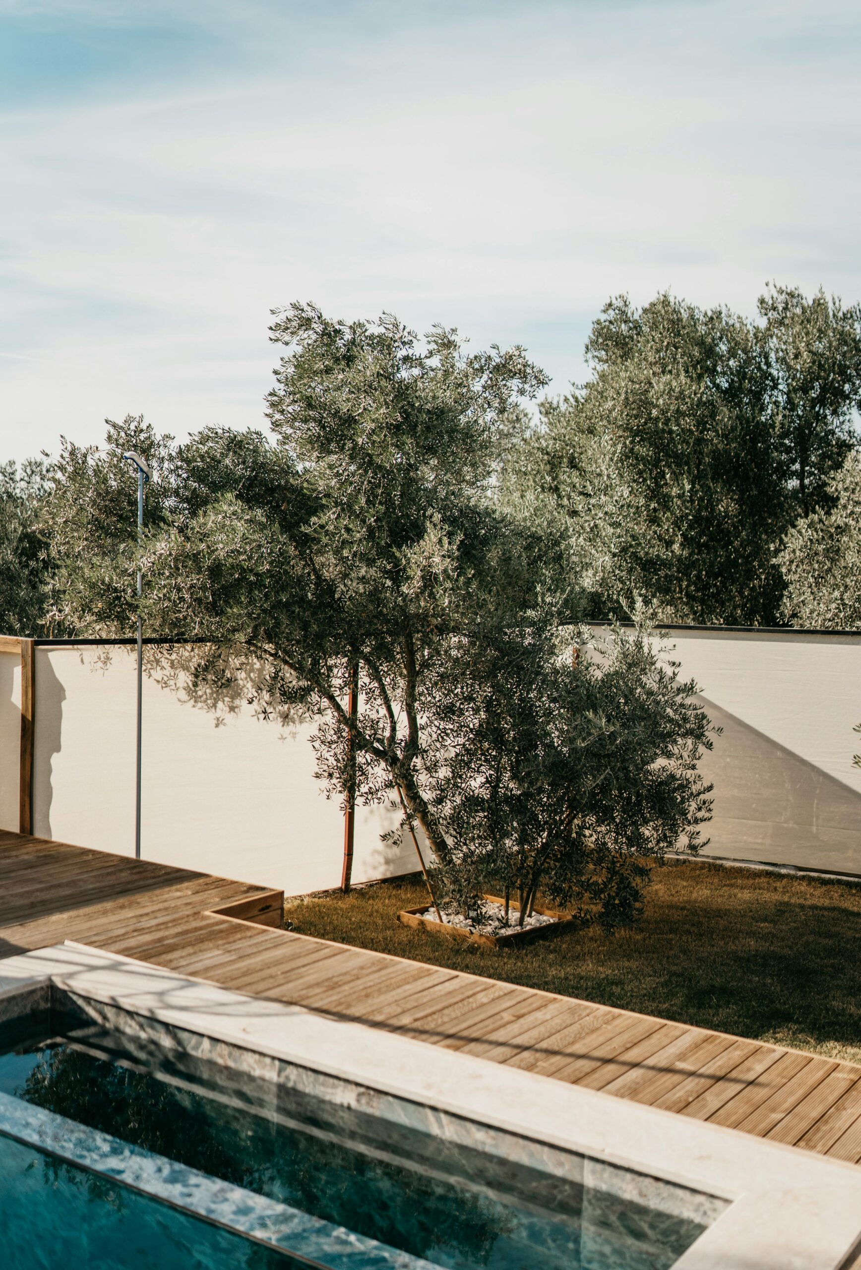 piscine-arboree-terrasse-bois-toulouse-environs Piscine entourée d’arbres avec terrasse en bois à Toulouse et environs, ambiance naturelle et relaxante pour l’aménagement extérieur